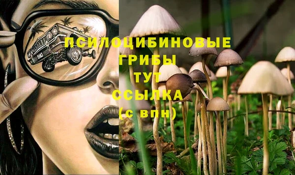 Альфа ПВП Дмитриев