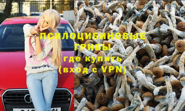 jwh Гусиноозёрск