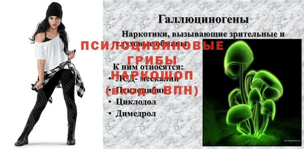 Альфа ПВП Дмитриев
