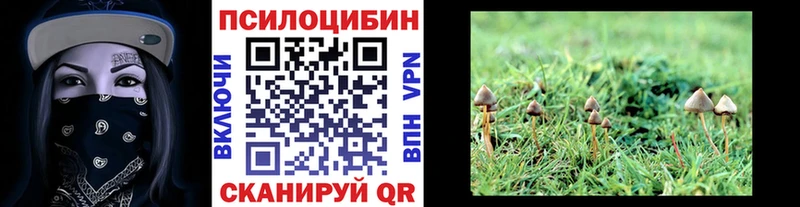 Галлюциногенные грибы GOLDEN TEACHER  Купить где  Белёв 